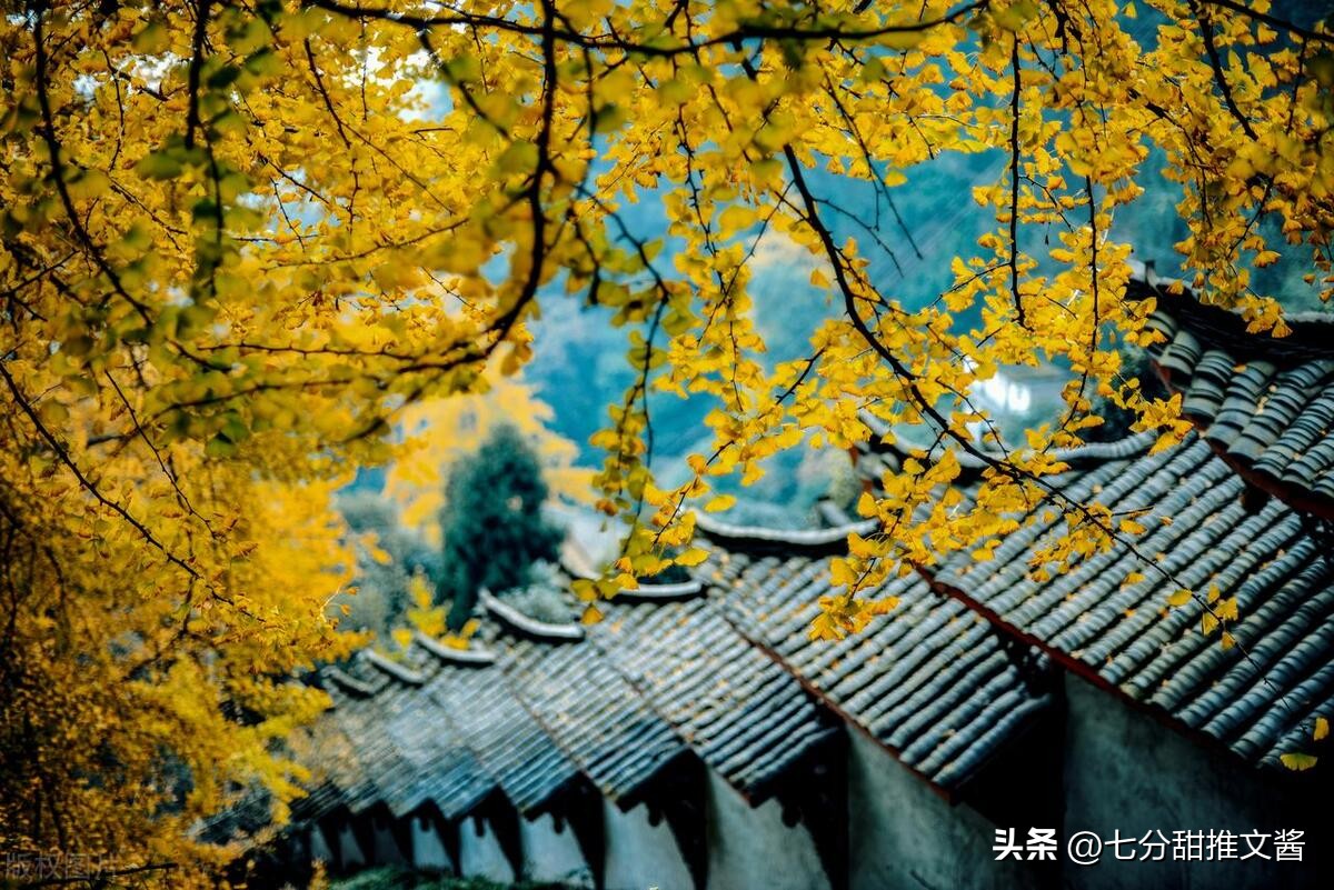 年代文推荐|《八零后重生日常》by星洁重生回到八、九十年代