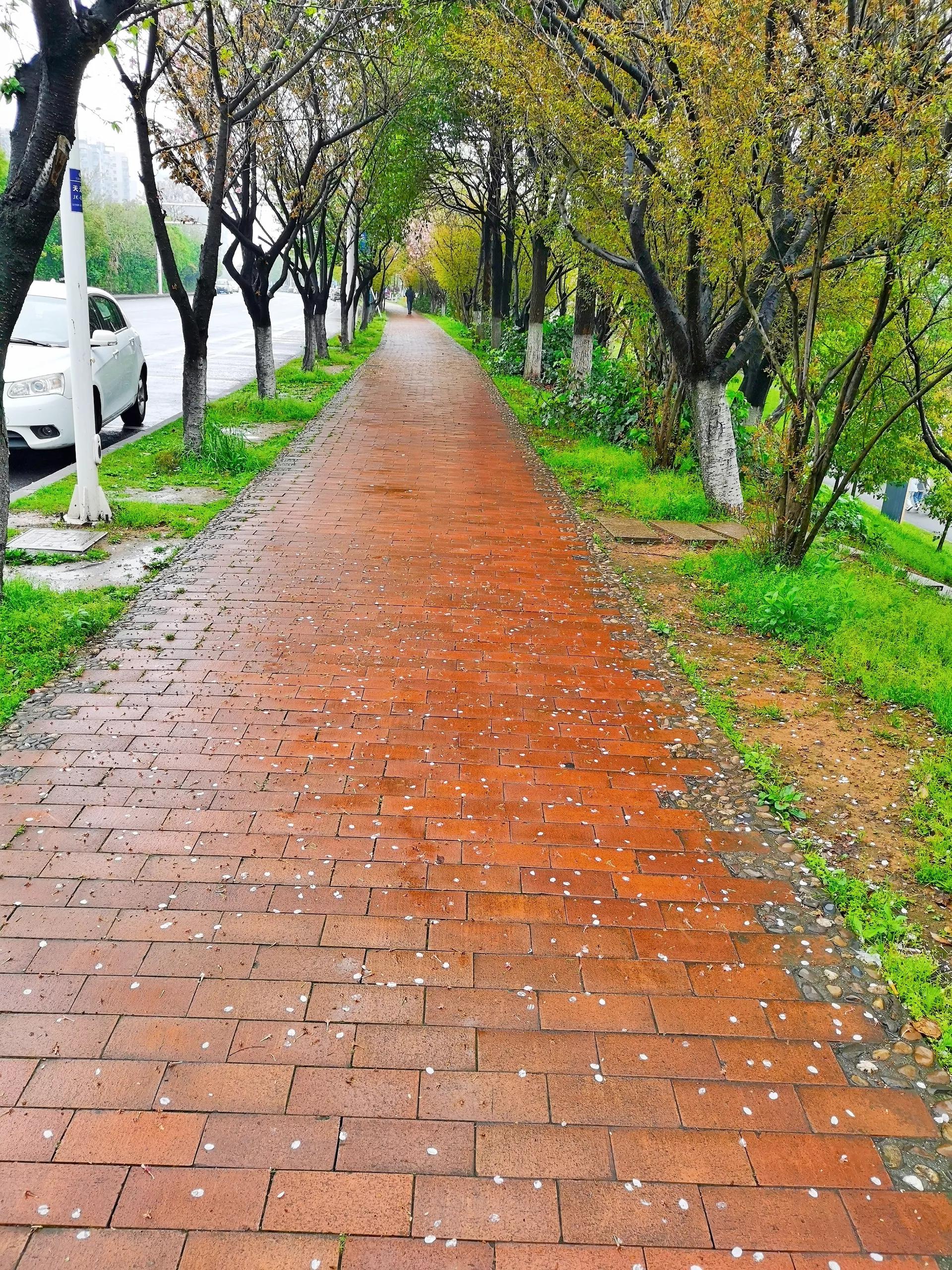 梅雨季节腊肉长霉怎么办,腊肉长霉了能靠高温杀菌解决吗