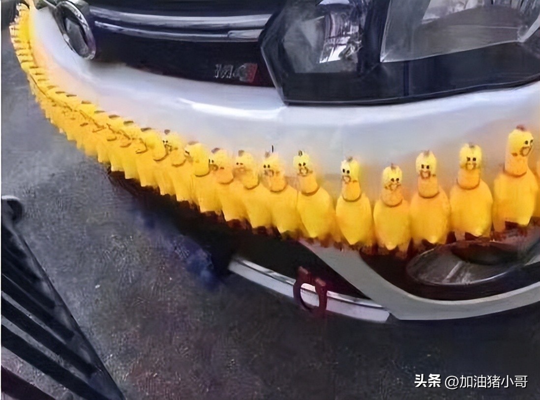 “是小蛇出了轨，还是青蛙劈了腿？”这是现实版的美杜莎？哈哈