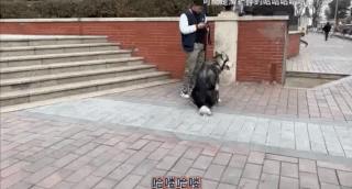 濂崇敓鍋氳揣鎷夋媺鍙告満,濂冲瀛愬仛鍙告満璺戣揣鎷夋媺