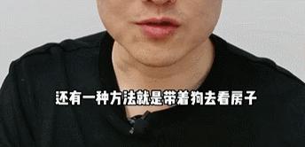 离谱！山东大哥专卖死人车：车有多凶，全看小*狗黑**上车坐哪？？