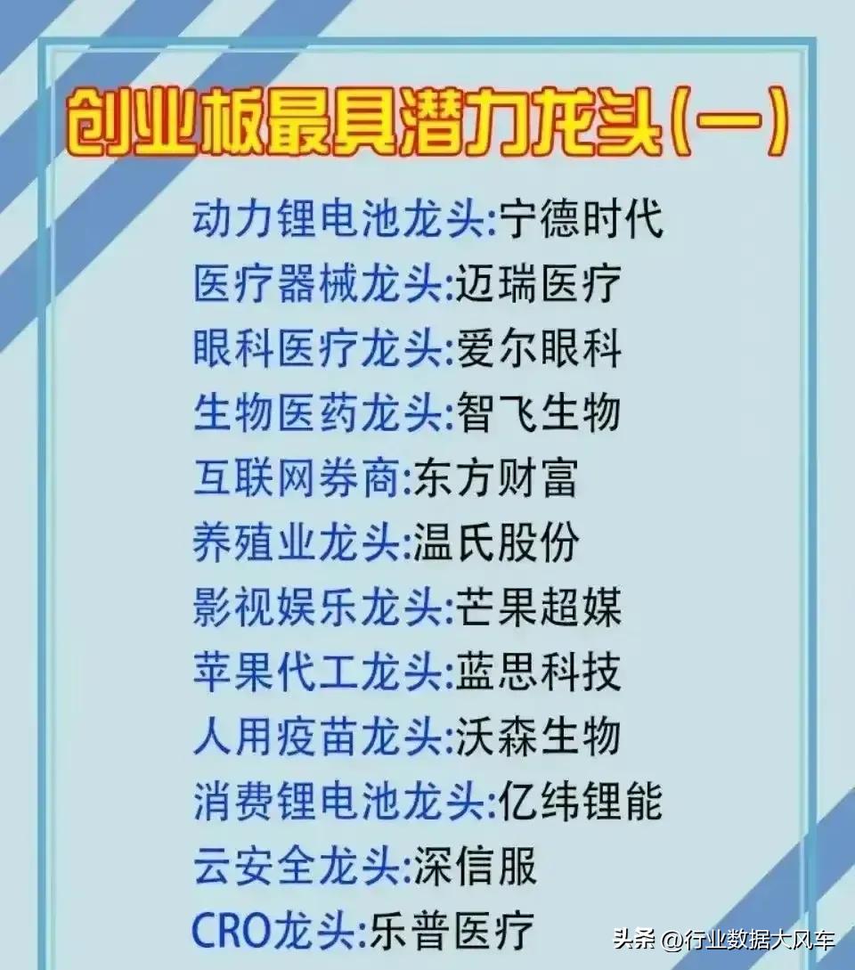 创业板细分龙头公司一览表,与创业板指数有关的板块有哪些