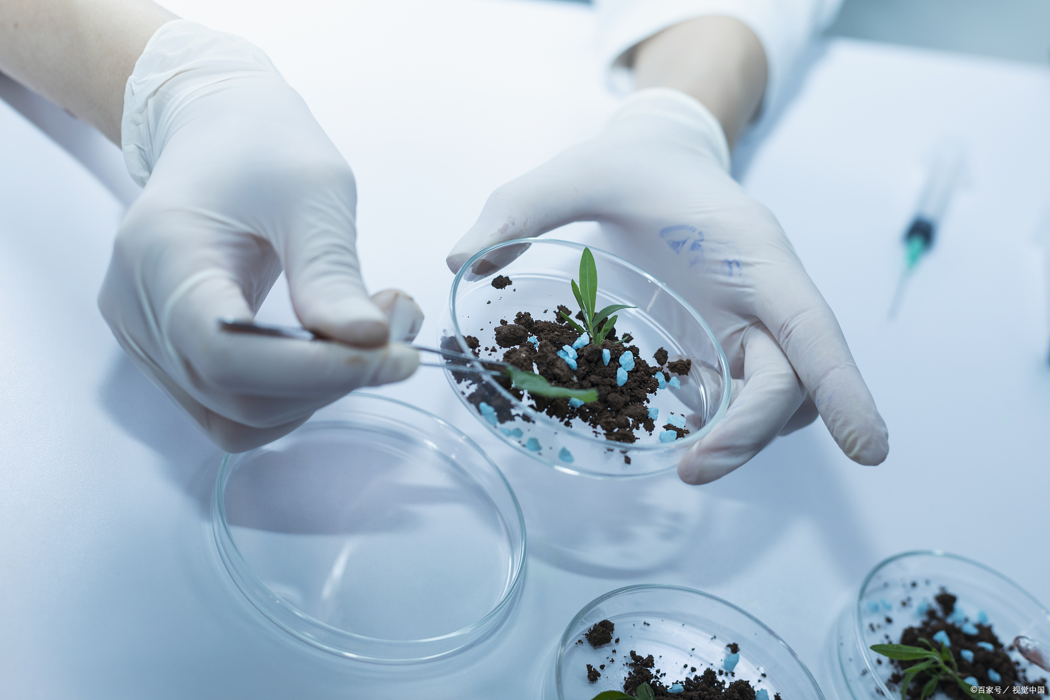 了解职业的哪些方面,石家庄医药生物产业