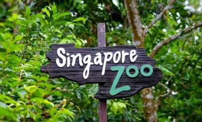 新加坡必须知道的十件事,到了新加坡才知道的事