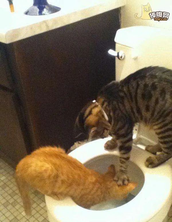 曼联vs布莱顿曼联首发,曼联vs布赖顿c罗