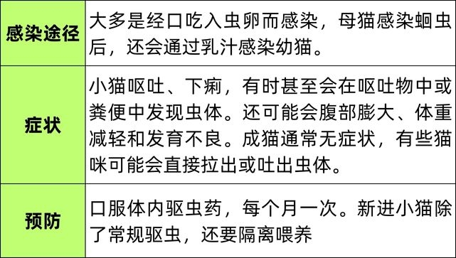 猫咪增肥喂什么粮,猫咪瘦弱型