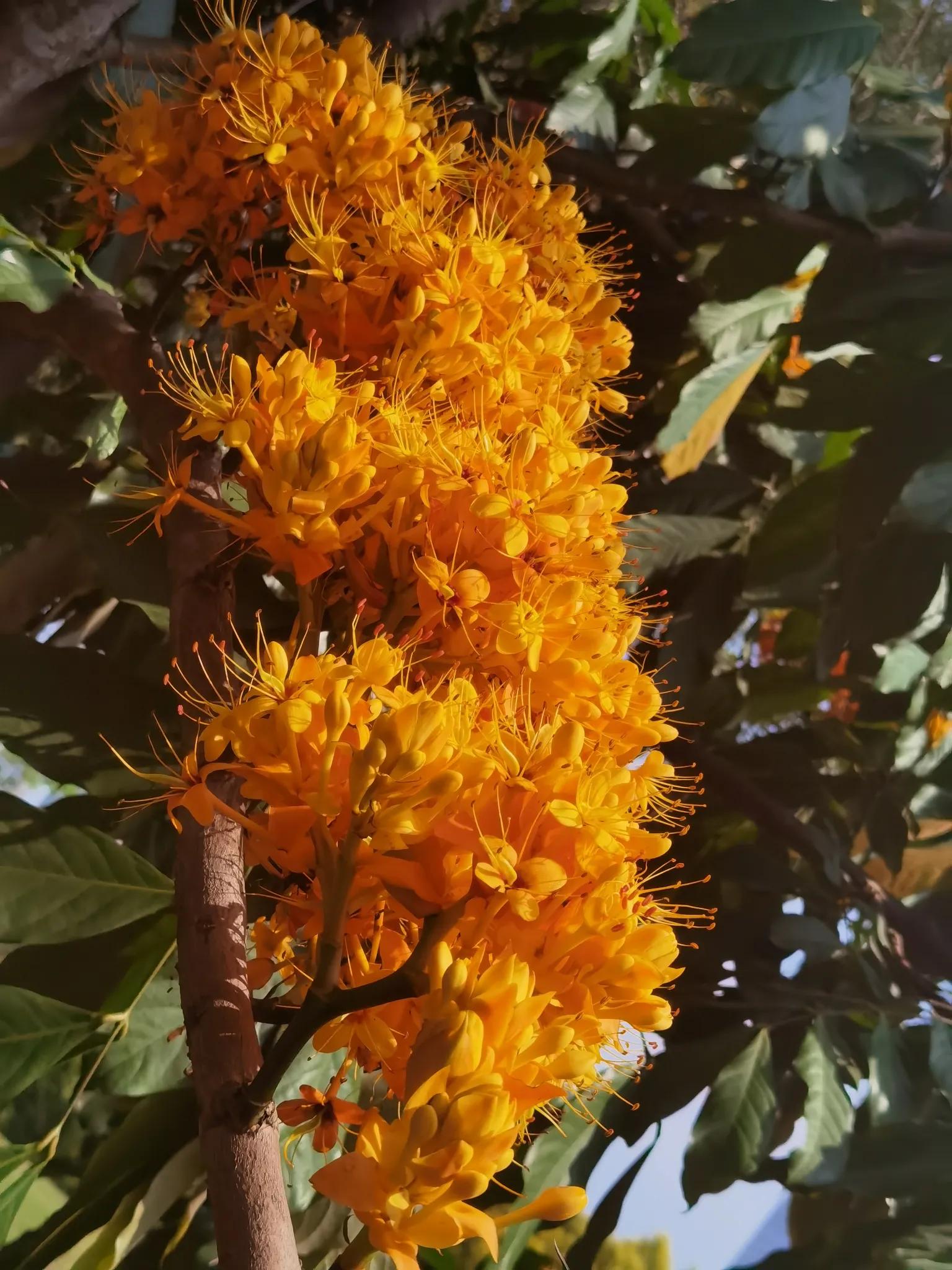 春天来了我们一起去看风景,春天来了我们去看哪里