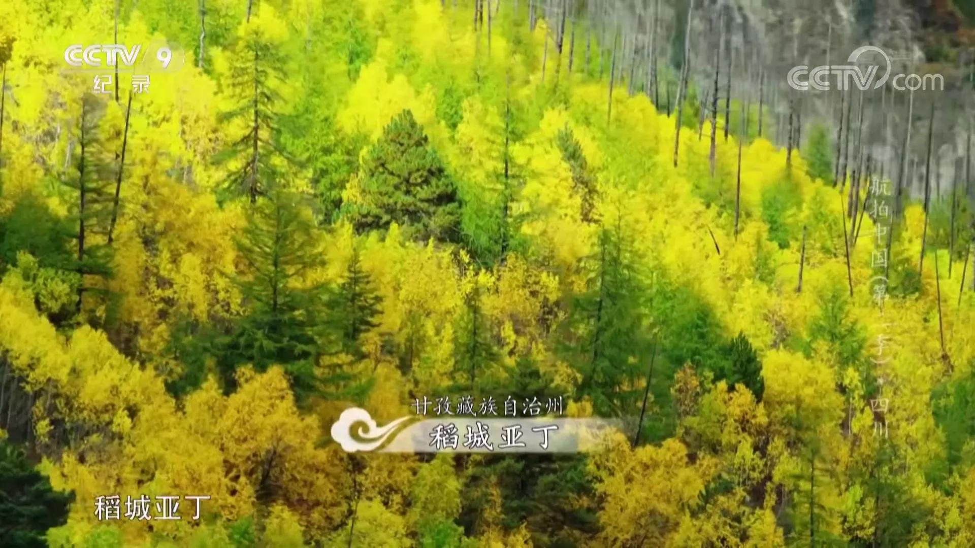 航拍中国第三季四川完整版,航拍中国四川篇视频