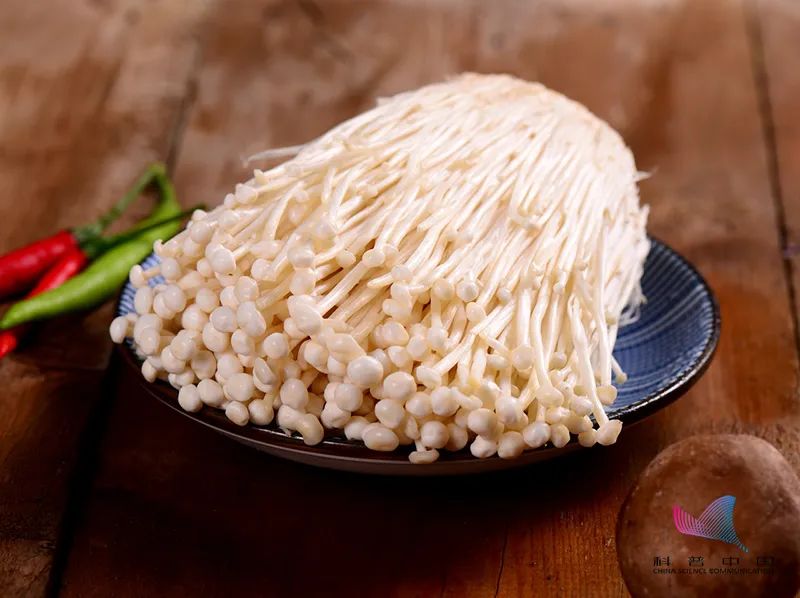 金针菇号称明天见有营养吗,金针菇为什么不能吃