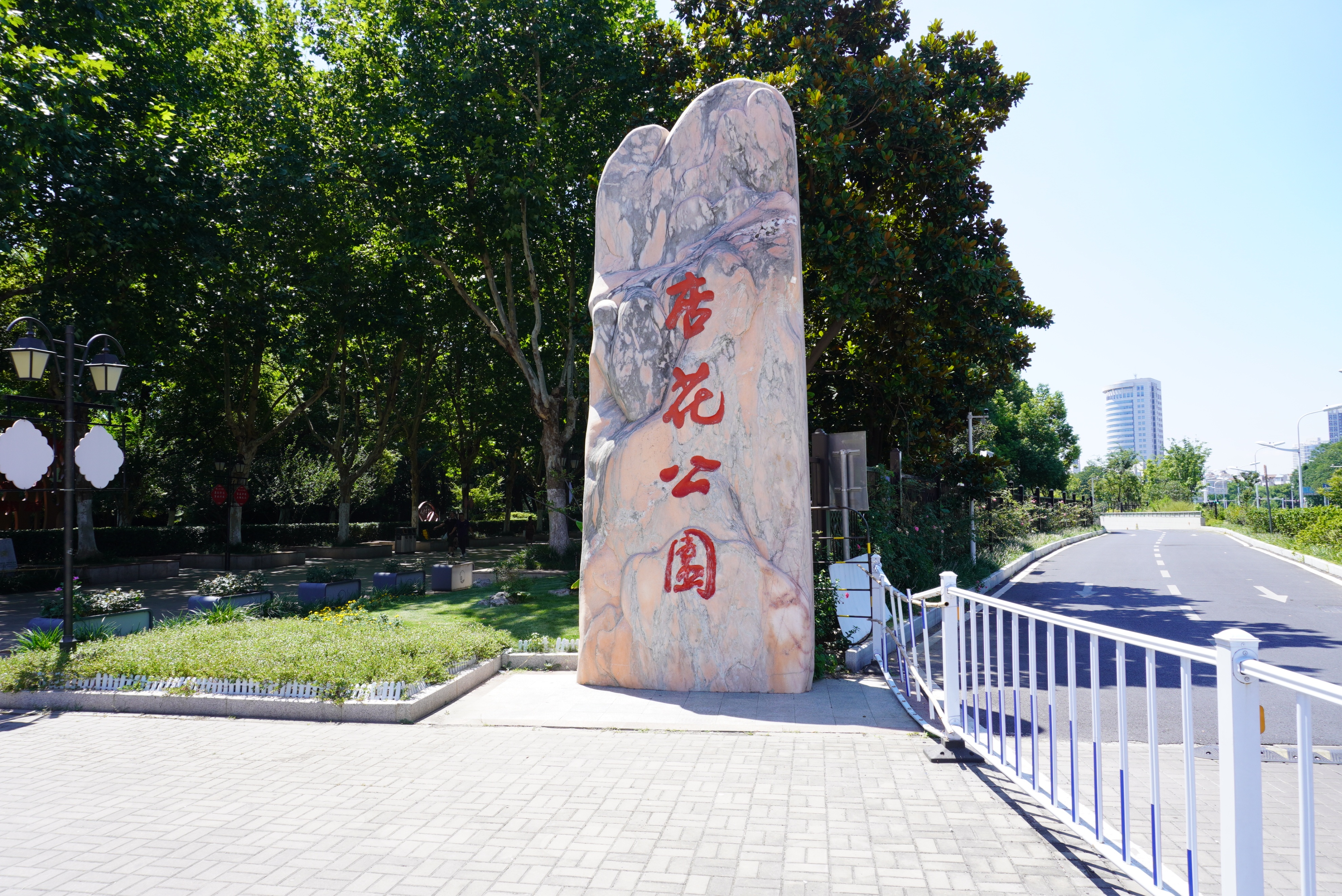 合肥的杏花公园的位置,有一棵杏花树的公园合肥