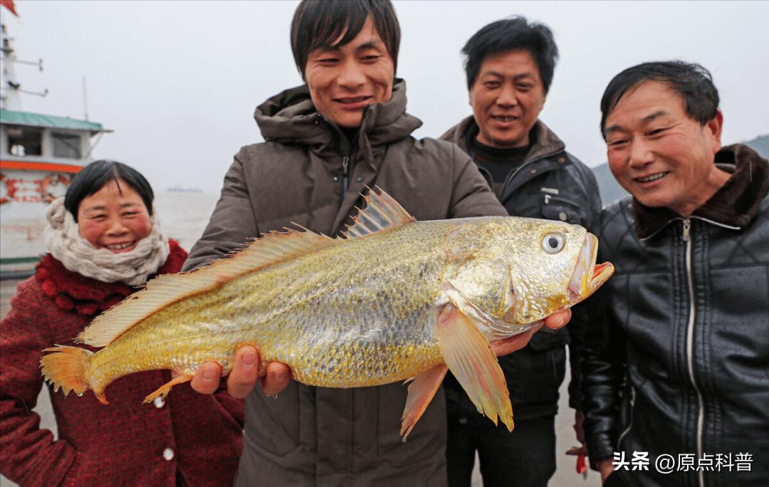 世界十大顶级海鲜排名,世界上十大最贵的十种海鲜