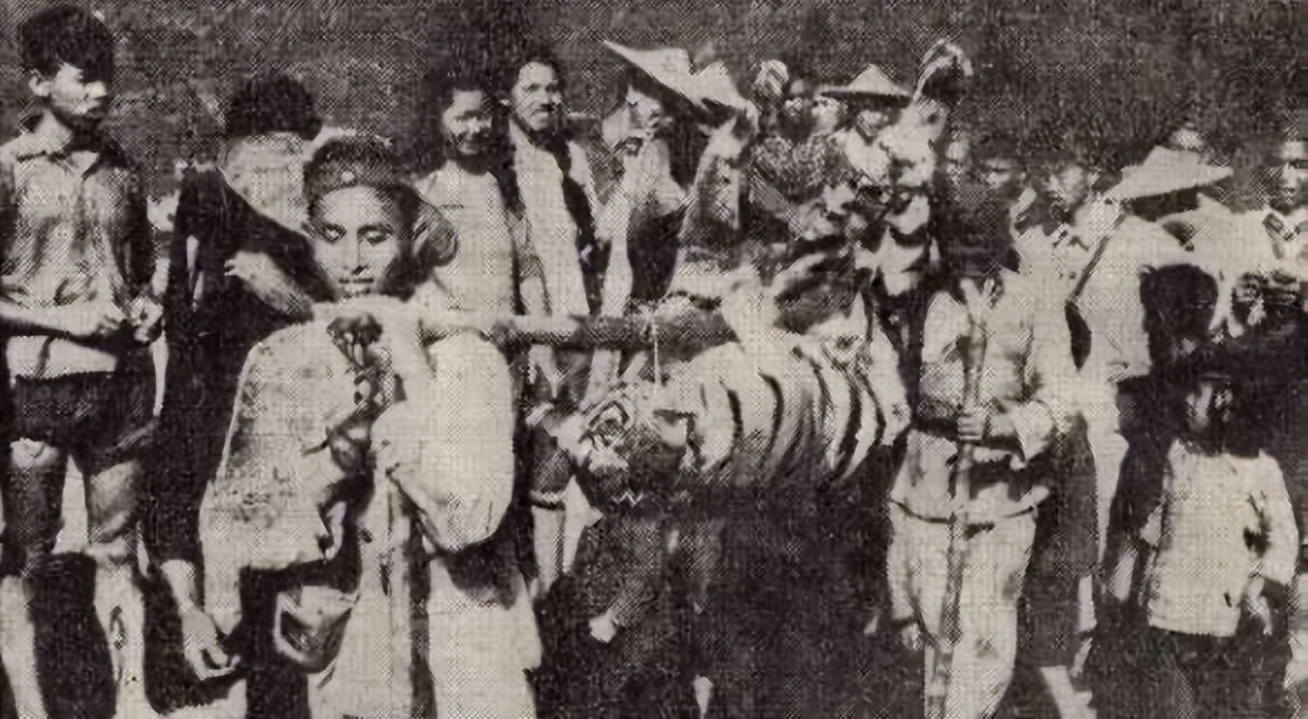 高高的紫云山,我们的青春故事曾在这里演绎