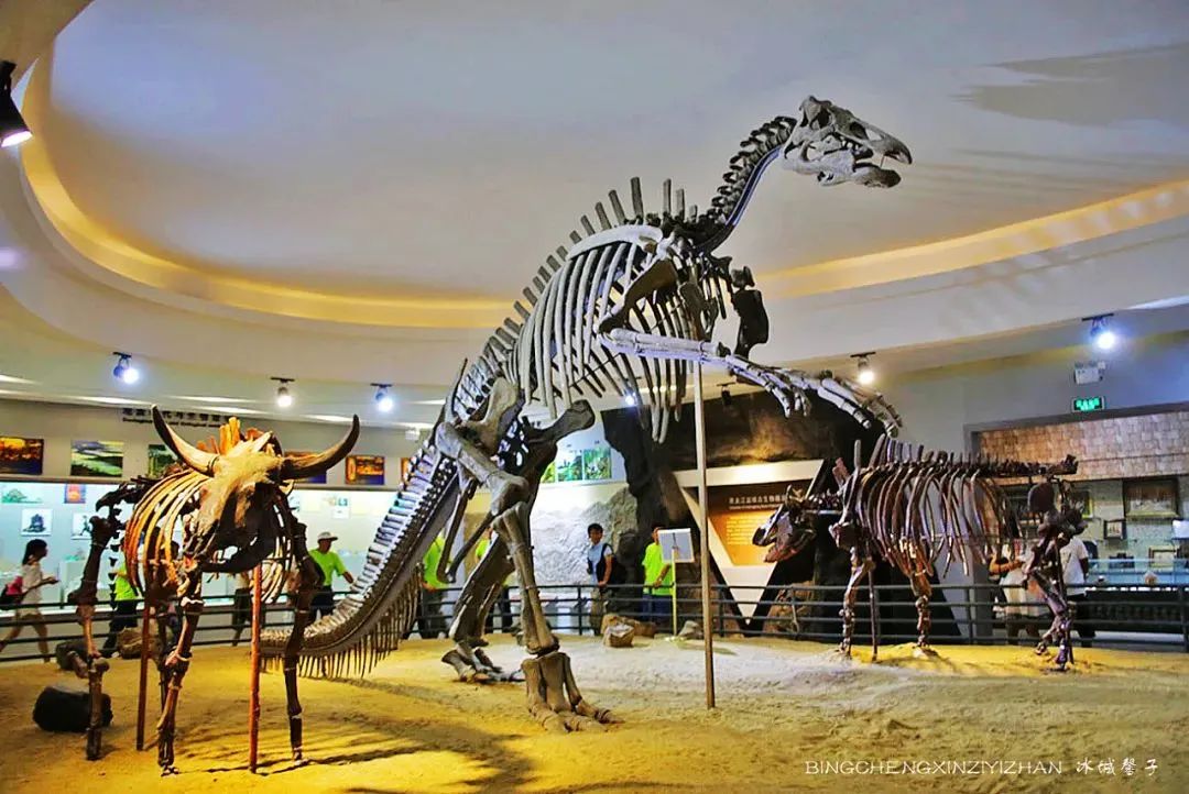 环中国边境线自驾旅行g331黑龙江,g331东北大环线自驾游