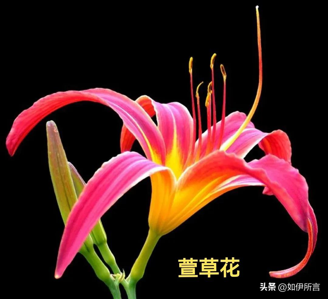 细思极恐还是极思恐极,细思极恐到底是巧合还是天意