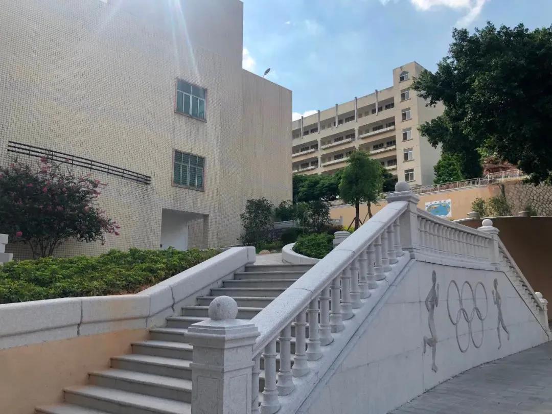 中国奥赛健体冠军2021,中国奥赛健体冠军全场