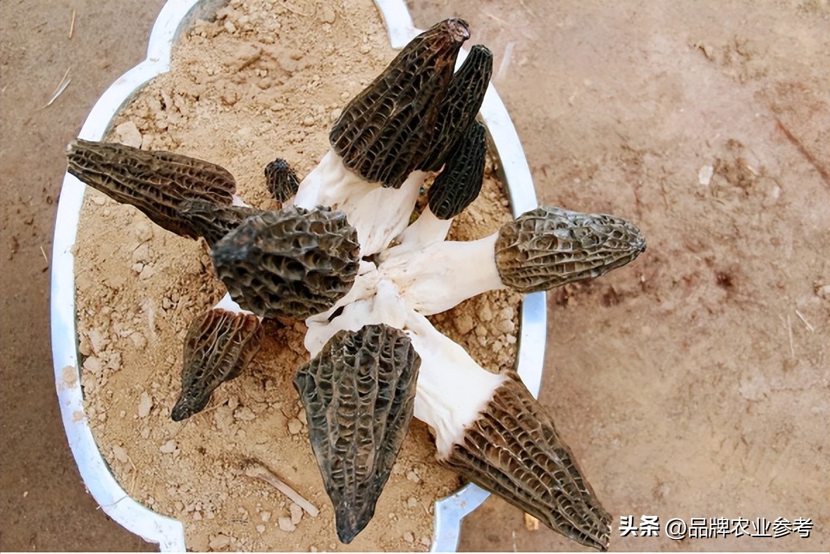 95后小伙捡破烂为生如今身价过亿,90后小伙靠捡烟头年入百万