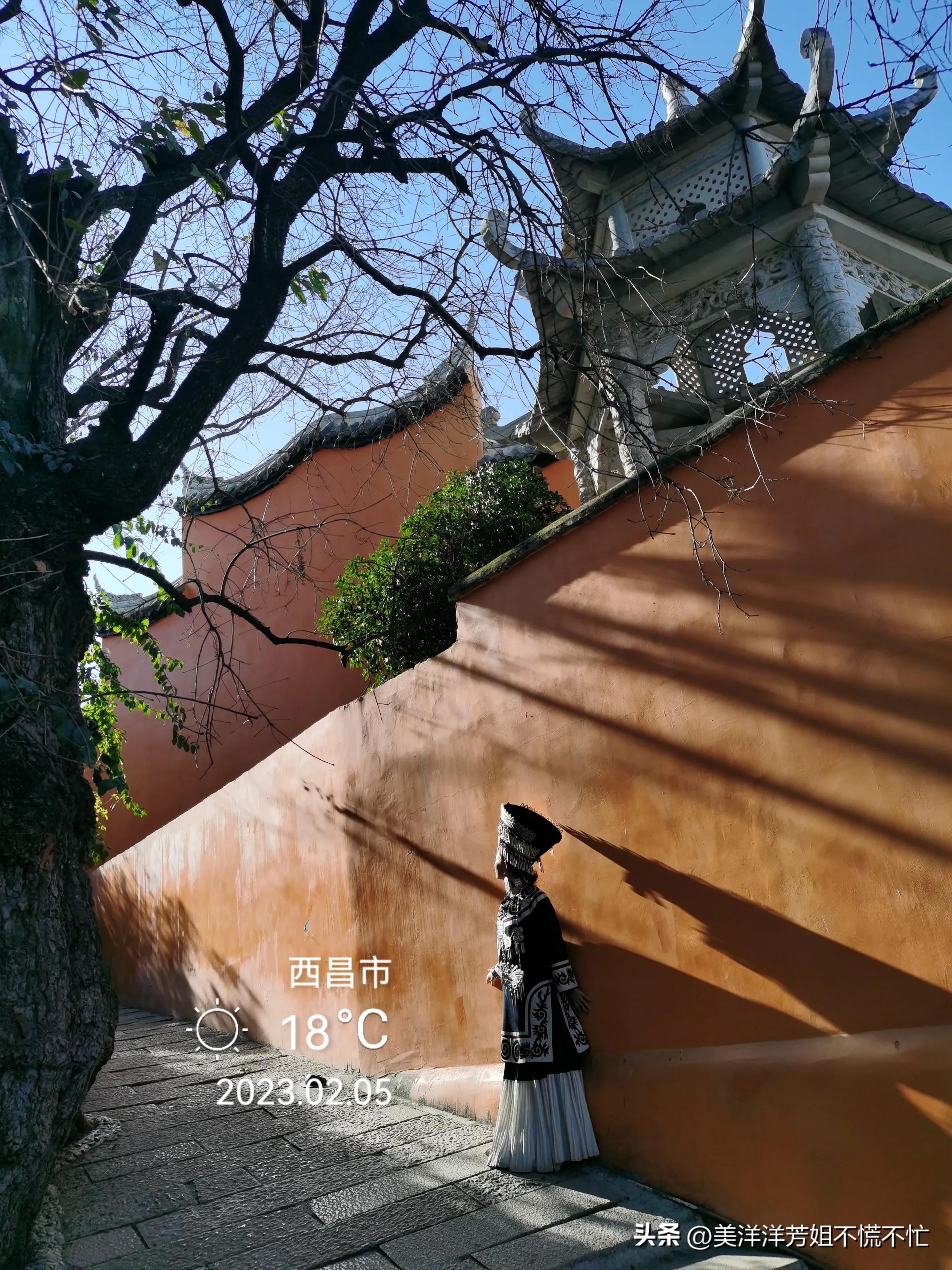 西昌邛海什么时候有海鸥,冬季去西昌邛海喂海鸥