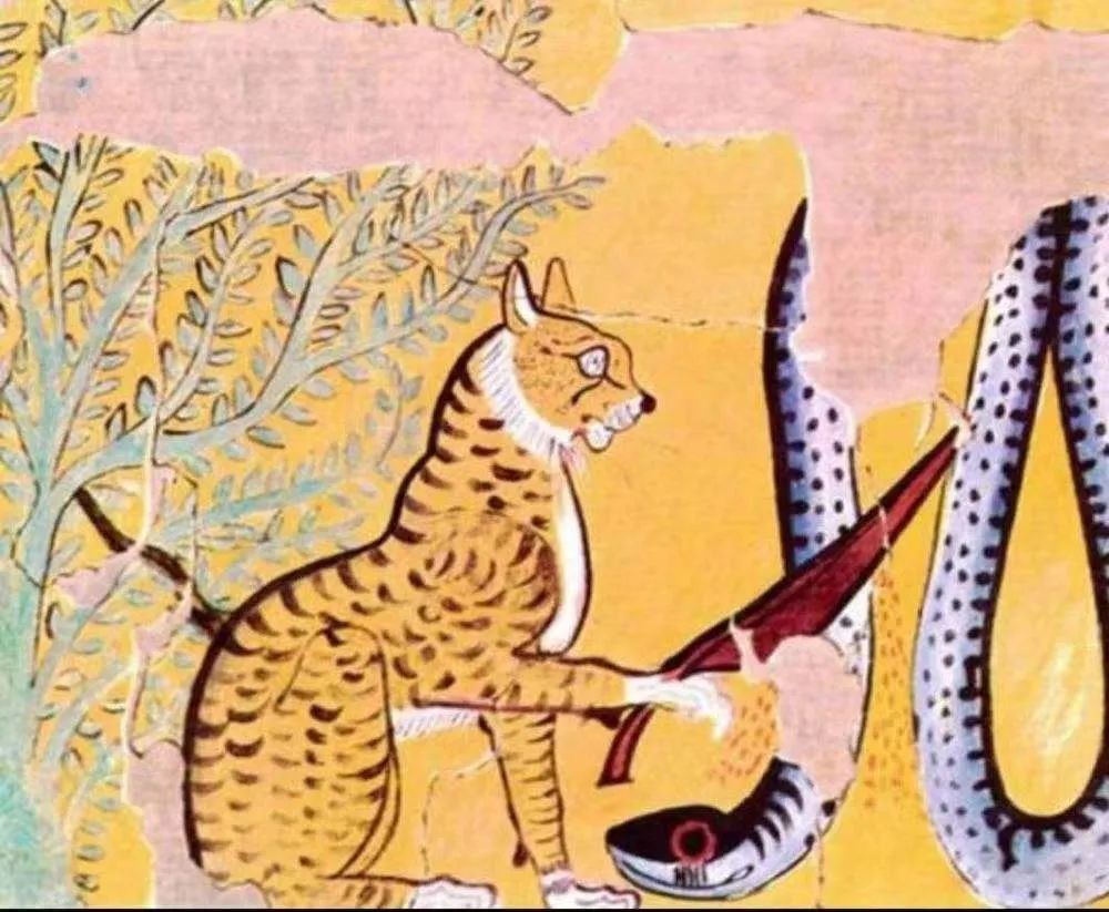 猫咪的起源是来自哪里,猫咪最初起源于哪里