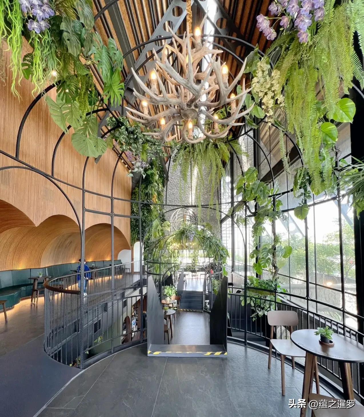 泰版星巴克-亚马逊咖啡，创立20年来首次涨价，为何只涨五泰铢