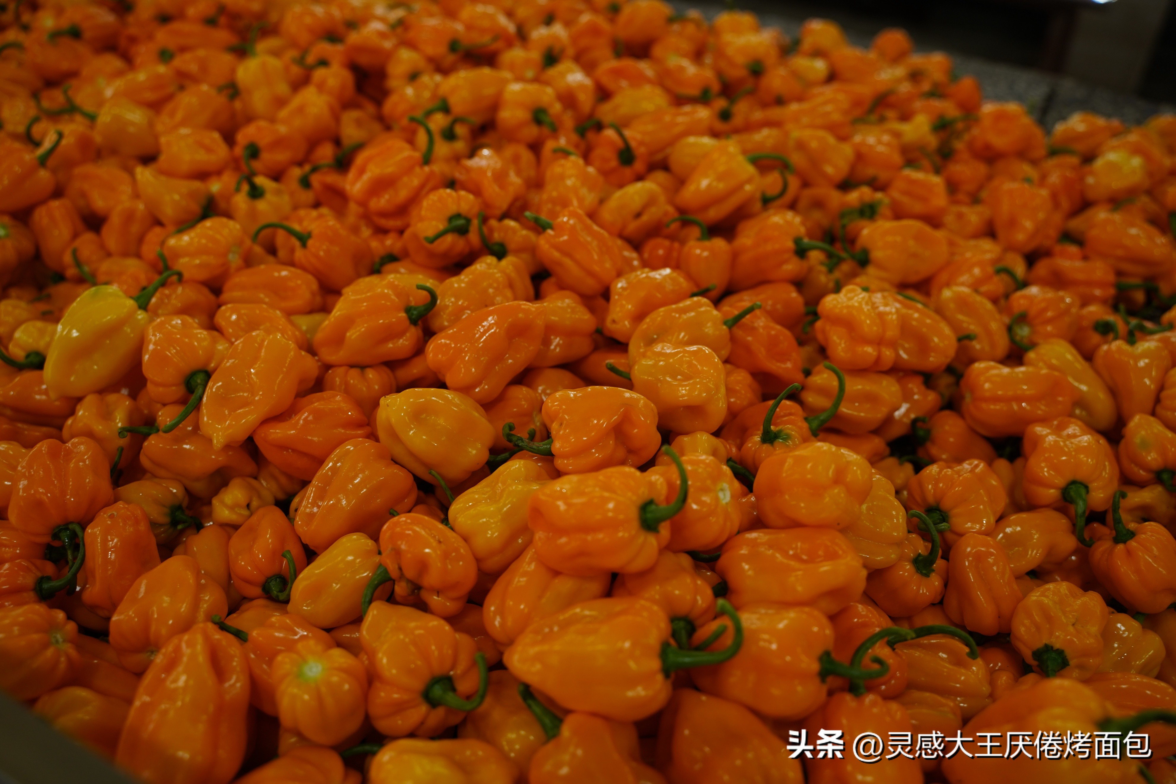 海南万宁有哪些大型农贸市场,海南万宁和乐菜市场