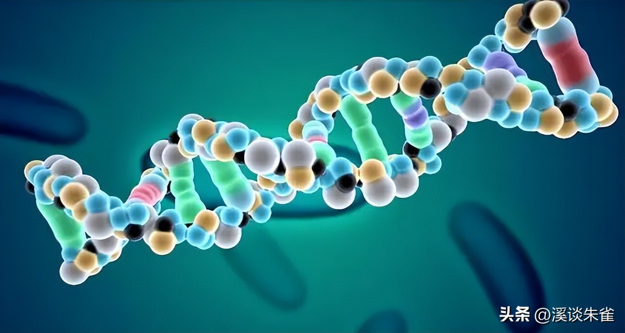 白斑病毒对对虾的影响,白对虾白斑病毒