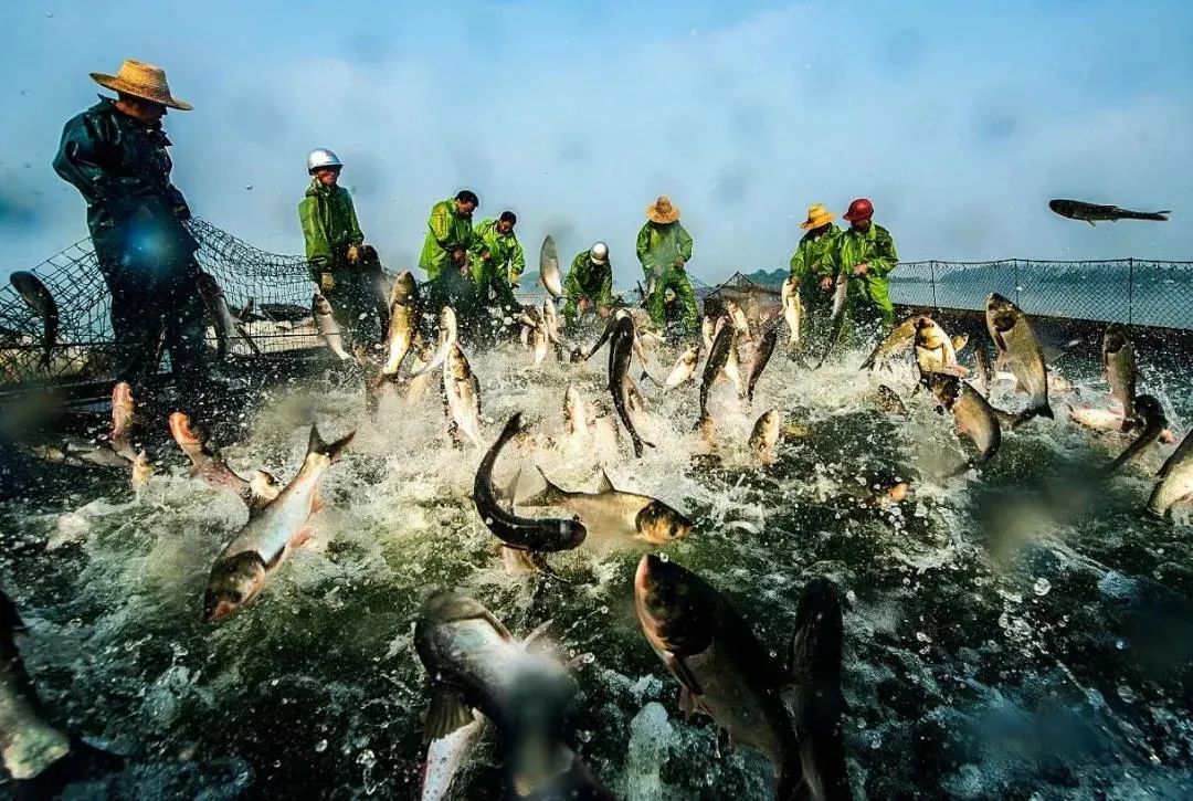 仙女湖区最新规划,江西省生态旅游度假区建设