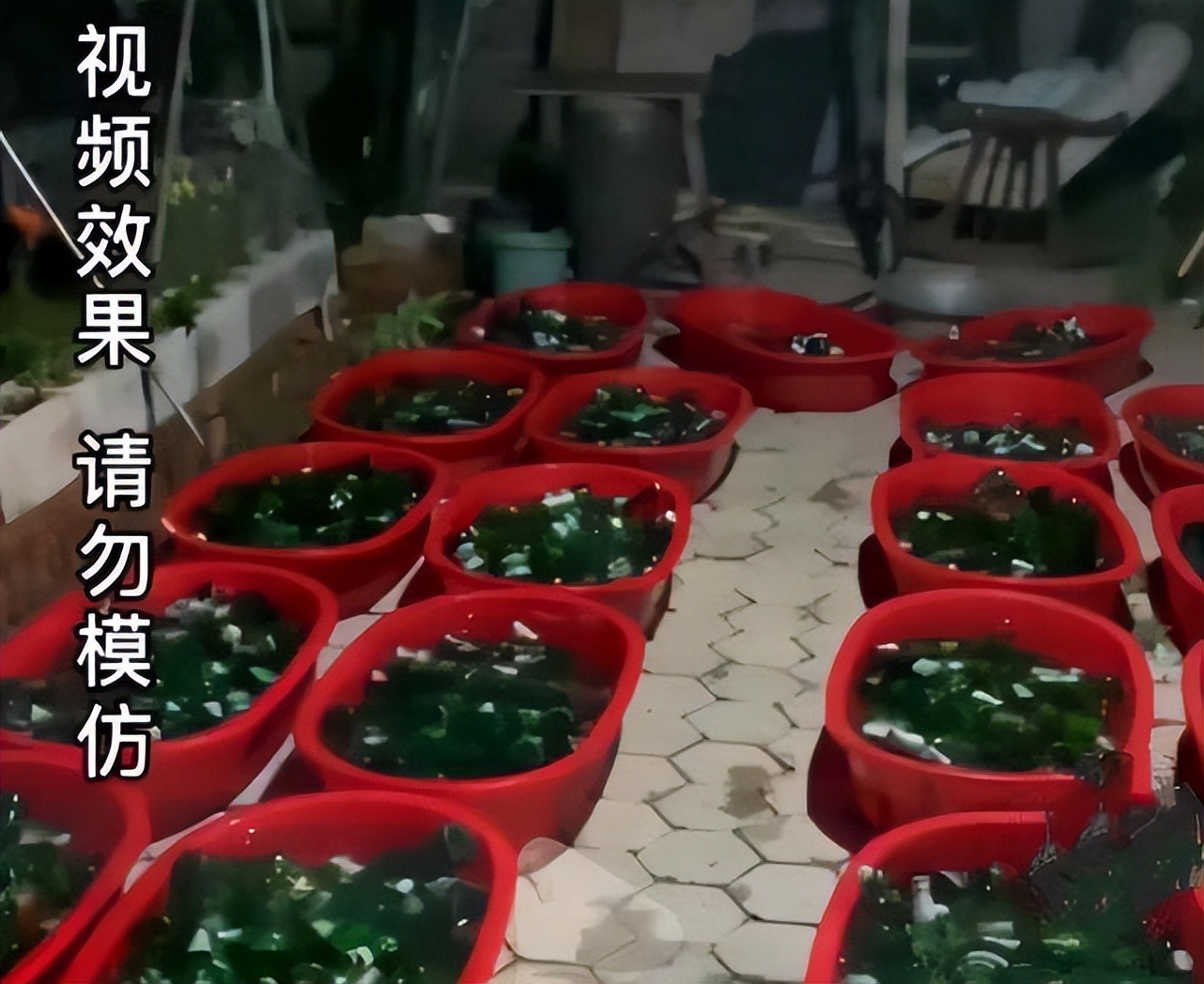 寡人单挑7个60级神豪回放,寡人喝酒一战封神视频是真是假