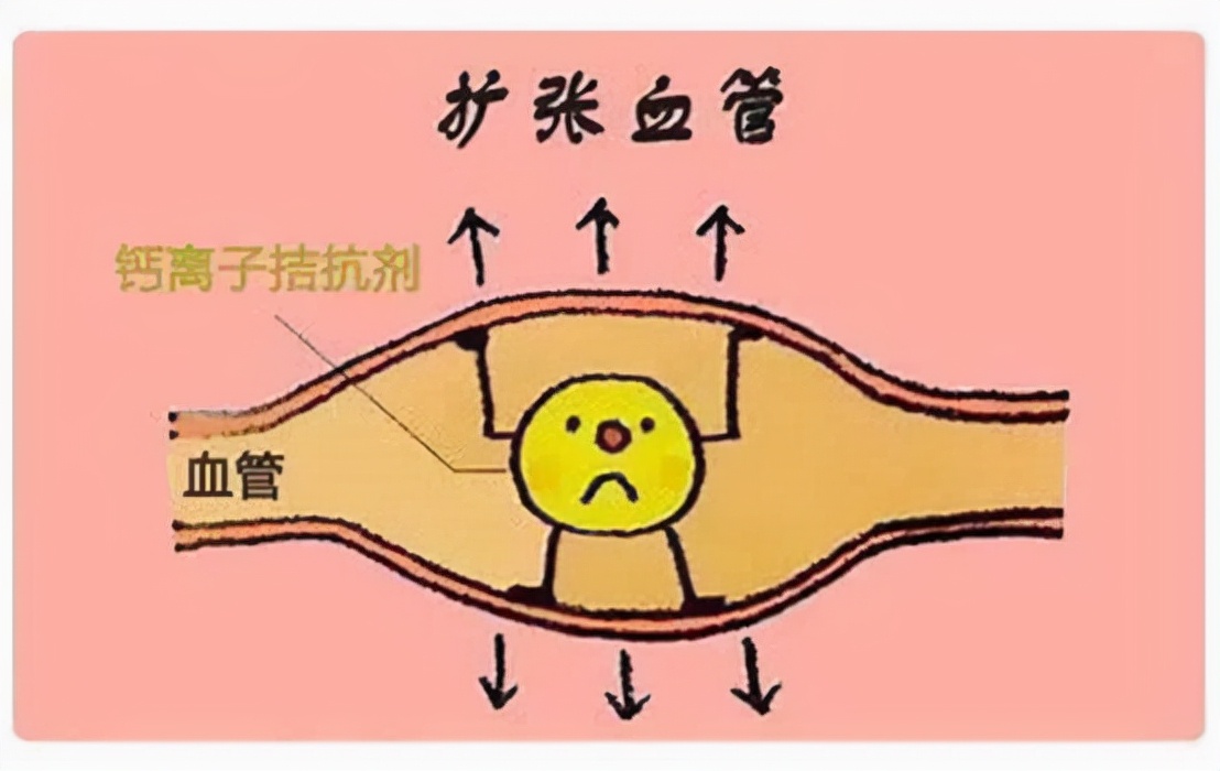 长期吃降压药有哪些副作用呢,吃降压药有哪些副作用和危害