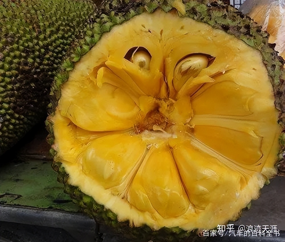 除家具异味用什么效果最好,用茶叶水擦家具可以去除异味吗