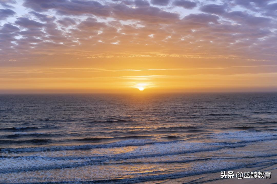 业务难离擦边质疑，洪恩奋力出海