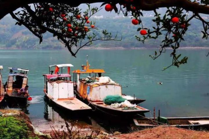 励志彭蕾谈马云被拒绝37次,彭蕾为什么能获得马云的信赖