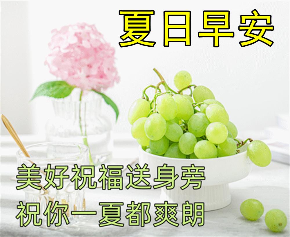 早上好温馨问候最漂亮表情包,每天换图片的早上好问候表情包