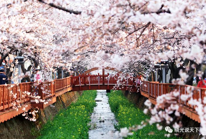 中日文化交流史导论,中日文化交流史视频