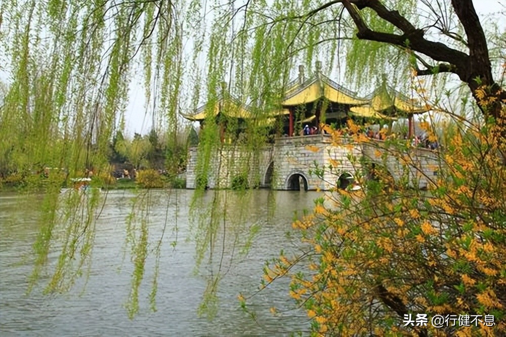 经典咏柳宋词,关于咏柳著名诗句及其赏析