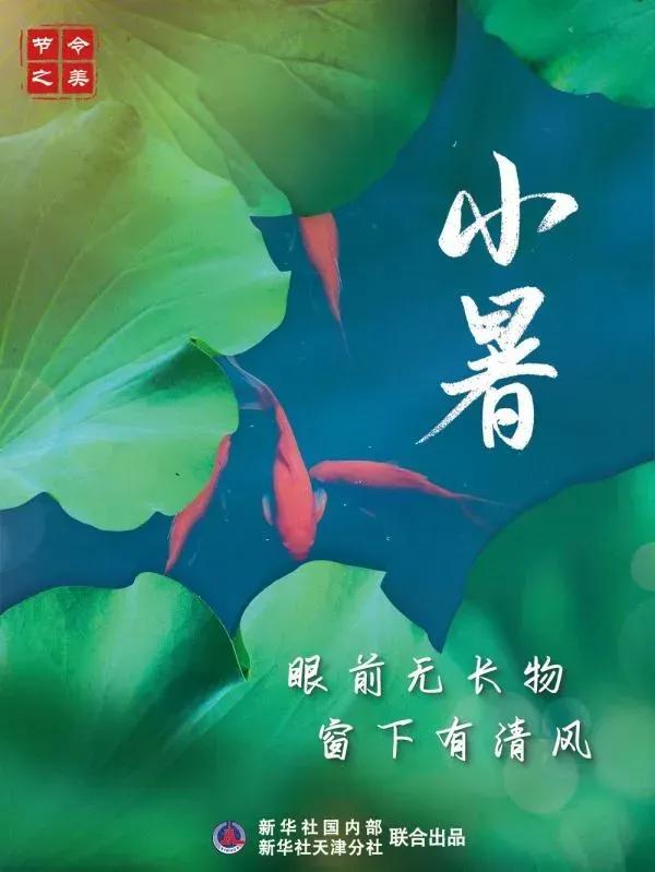 小暑节气快乐高级图片,关于小暑的精美图片