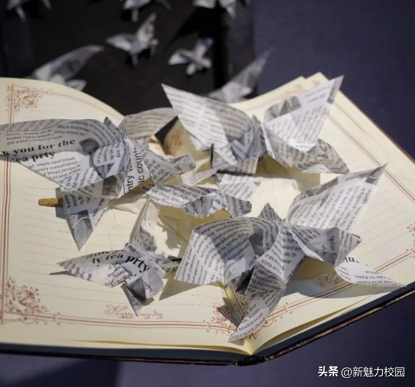 南京艺术学院毕业设计2017,南京视觉艺术职业学院毕业展