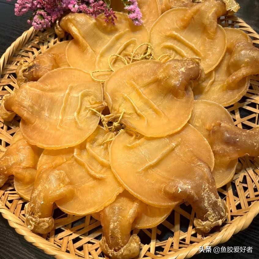 什么样的鱼胶不建议买,不建议入手的鱼胶