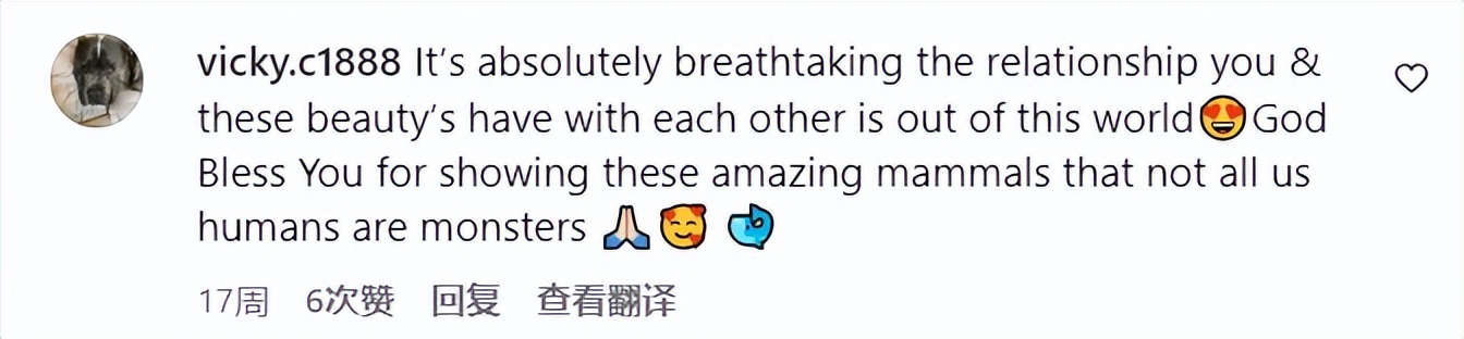 身上虱子太多，灰鲸无奈找人类帮忙，墨西哥船长秒变“搓澡工”！