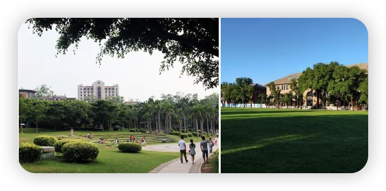 2024高考志愿选什么专业好就业,2023年报考什么专业就业前景最好