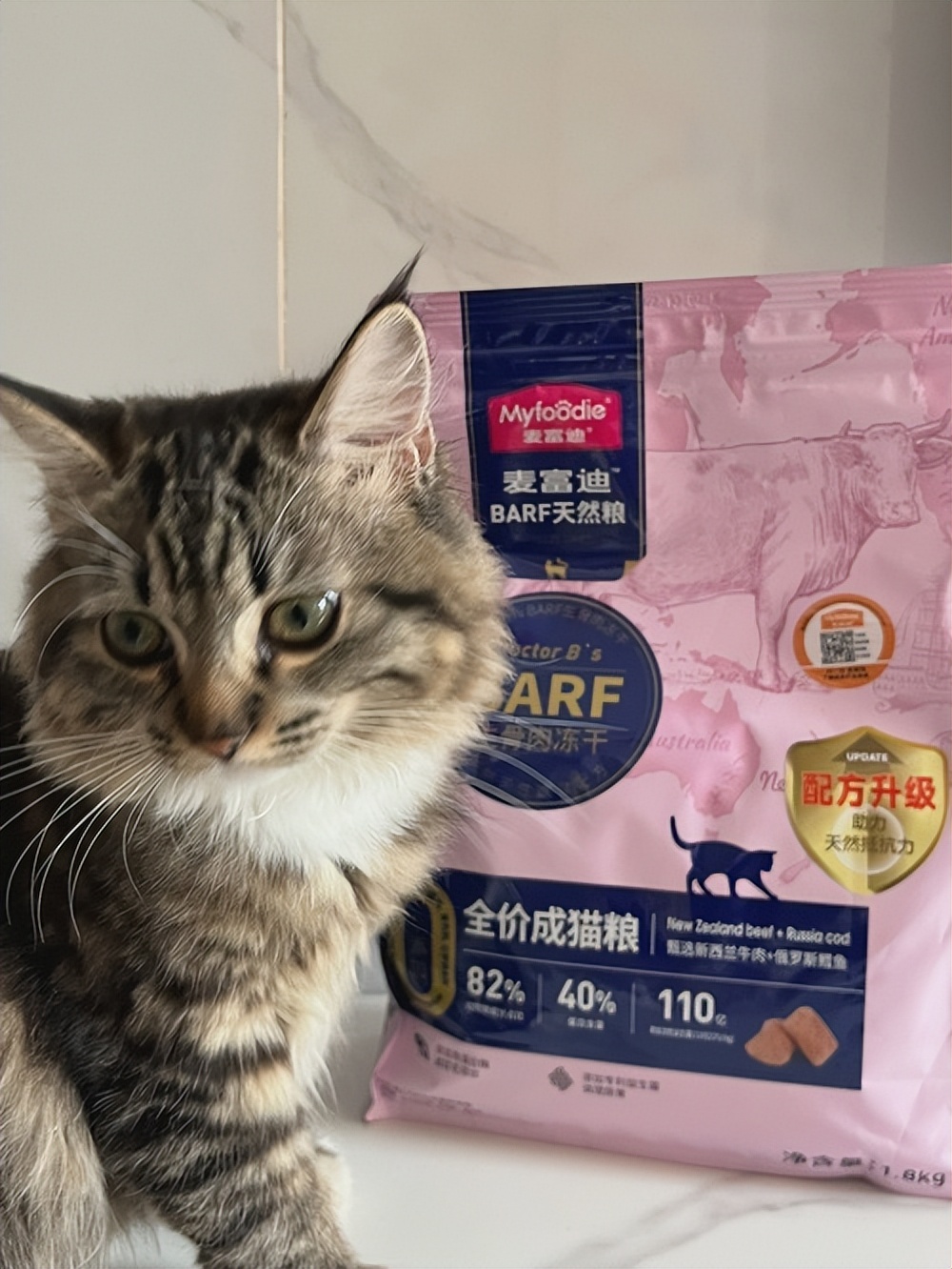 猫咪这几天食欲不好怎么办,猫咪食欲变得特别差怎么办