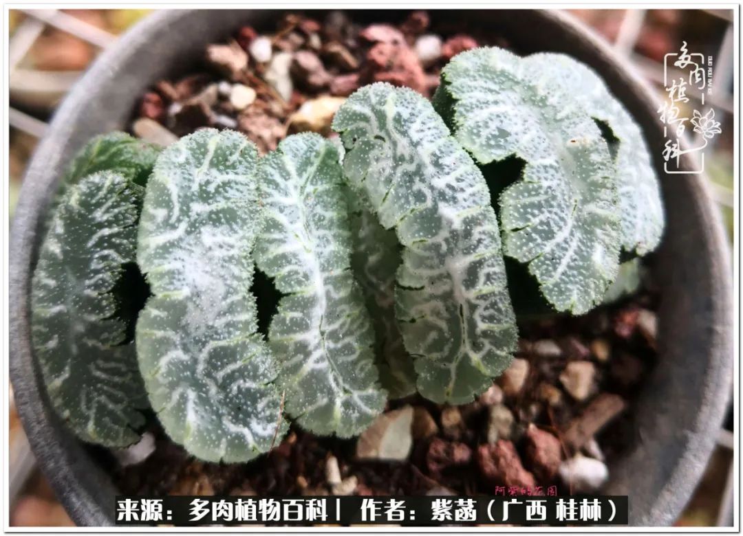 酷暑里的关爱，如十二卷般透亮绵长