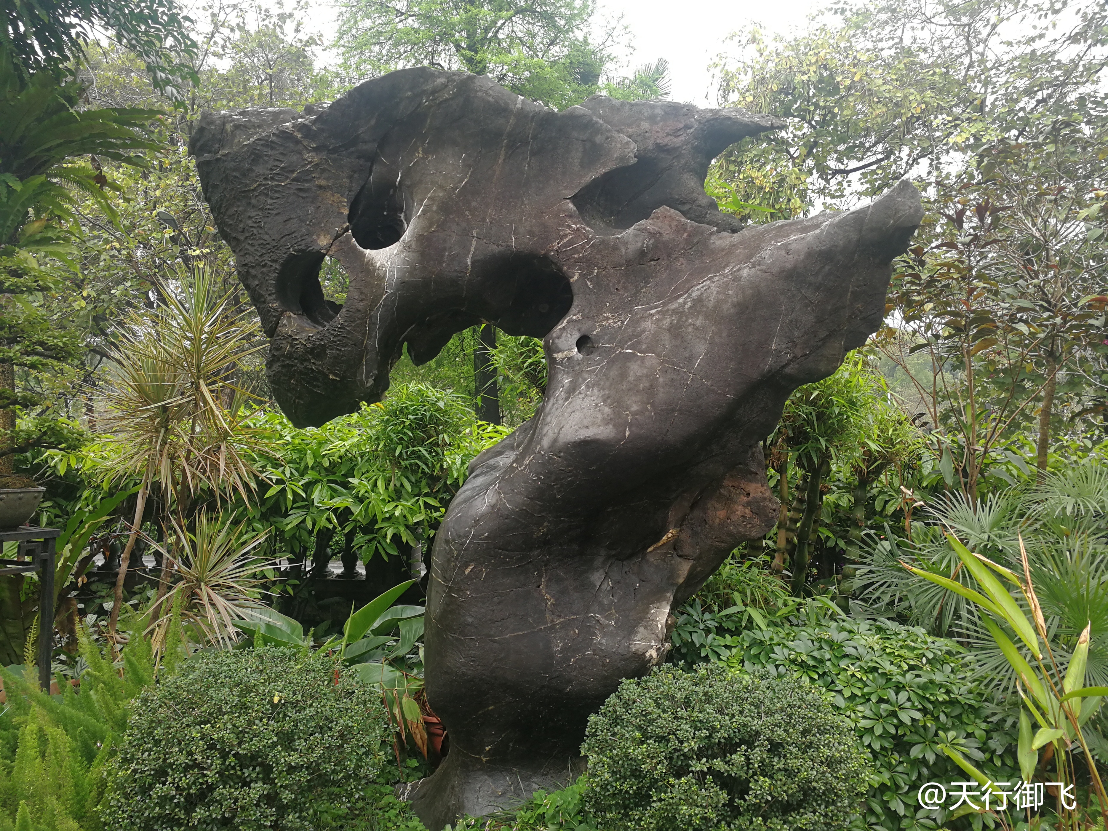 越秀公园游览最佳顺序,广州越秀公园旅游线路图