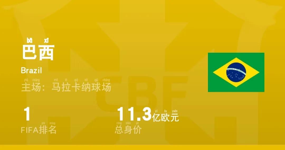 2022卡塔尔世界杯葡萄牙身价排名,卡塔尔世界杯球星身价排名