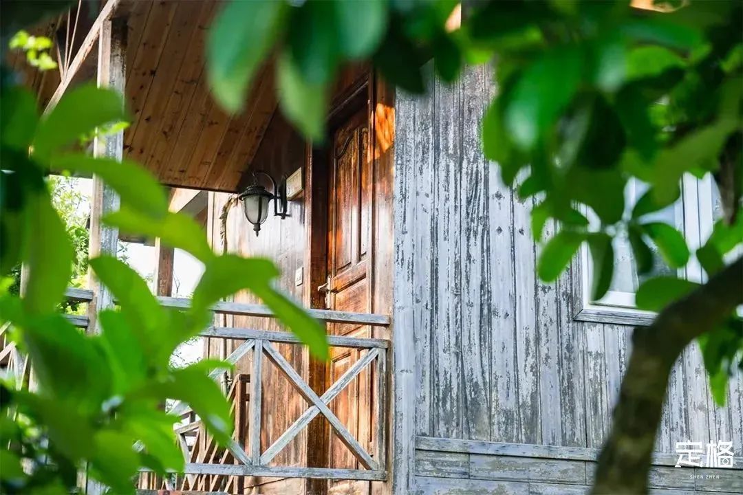 深圳10个小众打卡地,深圳十大免费打卡地