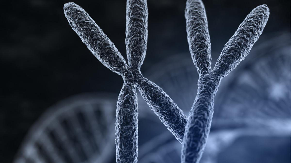 卵巢早衰和内分泌失调的关系,卵巢功能早衰和内分泌失调一样吗