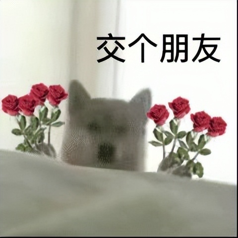 贩剑表情包评论区,贩剑表情包不回消息