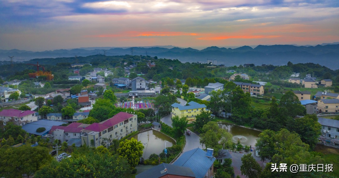 农家乐庭院效果,农家院庭院绿化效果