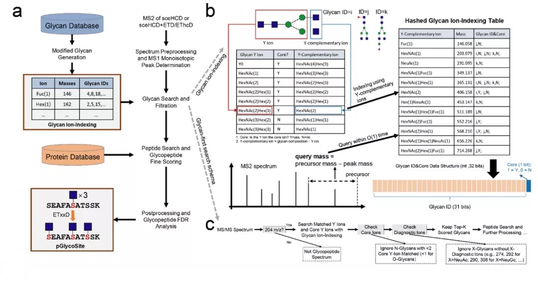 复旦上医,复旦上医最新排名