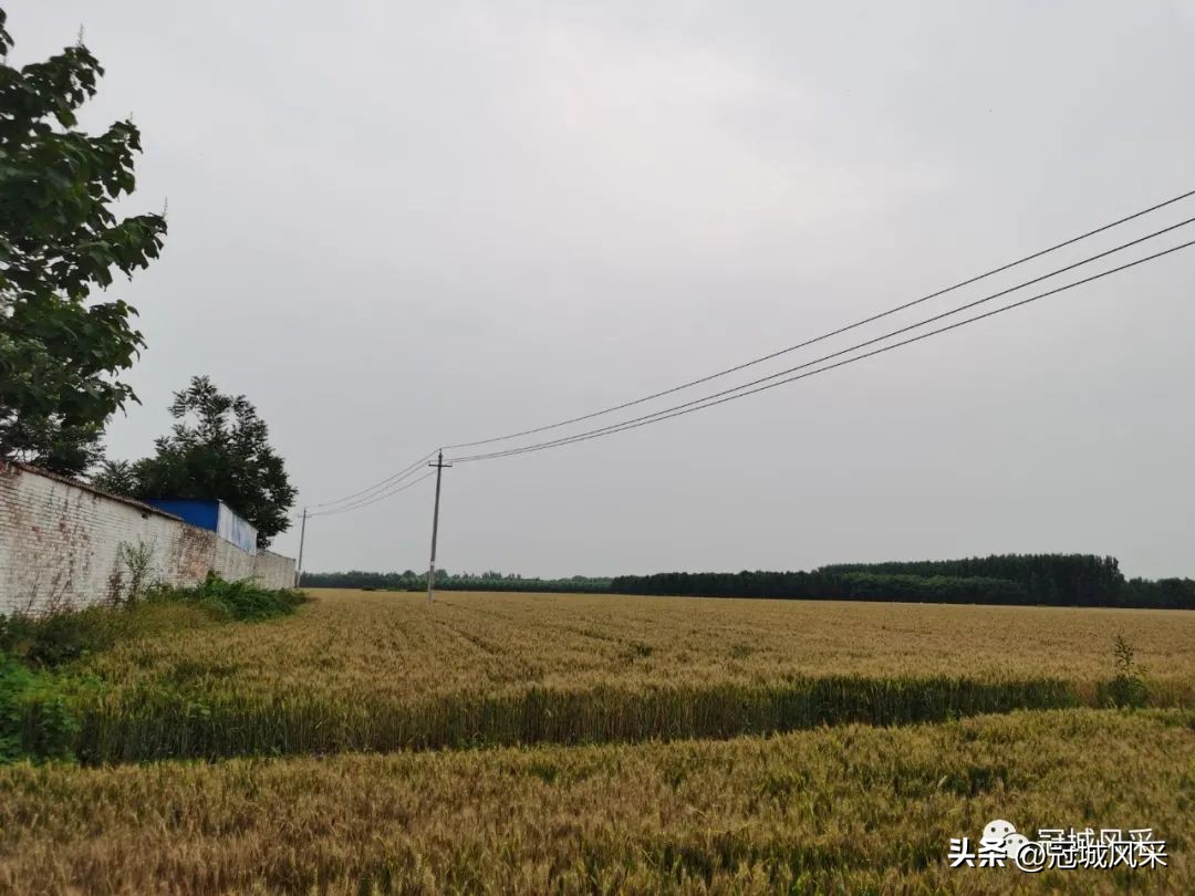 贾镇艾寨村,冠县艾寨