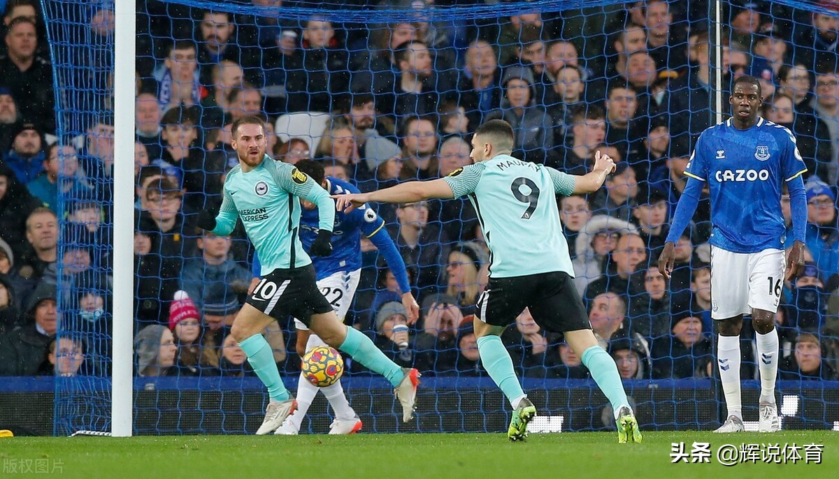 队徽是一只鹰的国家队,队徽有蜜蜂的球队